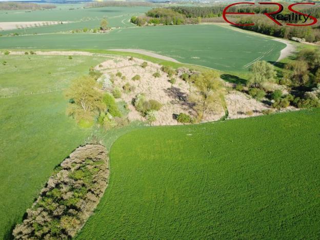 Prodej louky, Městec Králové, 28150 m2