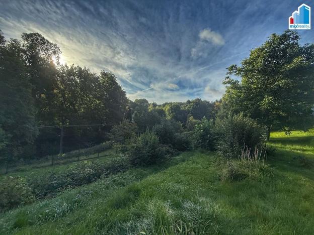 Prodej rodinného domu, Bělá nad Radbuzou - Újezd Svatého Kříže, 226 m2