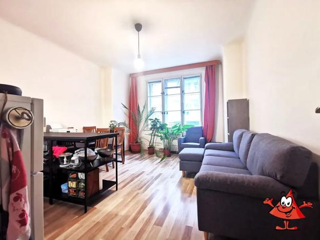 Pronájem bytu 1+1, Praha - Žižkov, Buchovcova, 53 m2