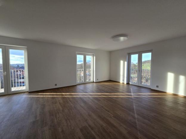Pronájem bytu 3+kk, Plzeň, Na Rybníčku, 90 m2