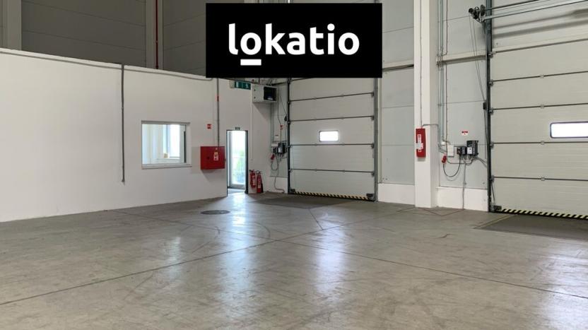 Pronájem skladu, Nýřany, U Mexika, 5442 m2