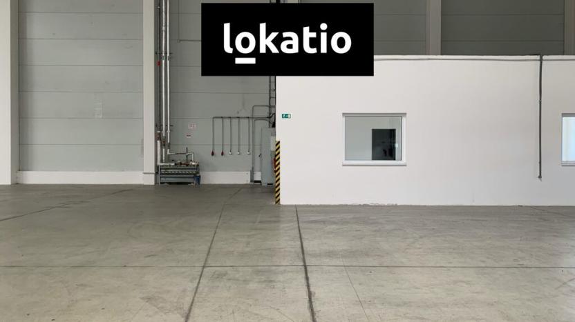 Pronájem skladu, Nýřany, U Mexika, 5442 m2