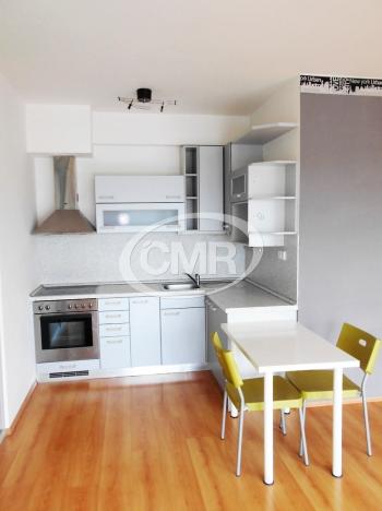 Pronájem bytu 1+kk, Praha, Kotlářka, 59 m2