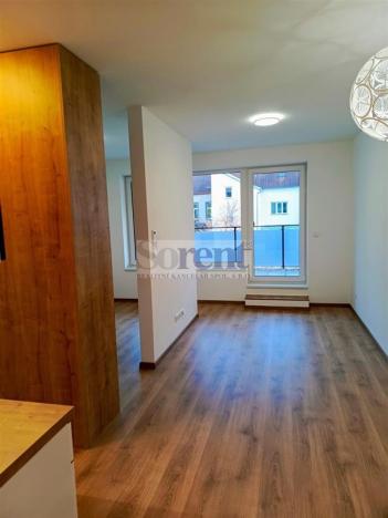 Pronájem bytu 1+kk, České Budějovice - České Budějovice 3, Riegrova, 47 m2