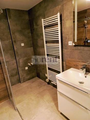 Pronájem bytu 1+kk, České Budějovice - České Budějovice 3, Riegrova, 47 m2