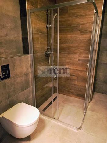 Pronájem bytu 1+kk, České Budějovice - České Budějovice 3, Riegrova, 47 m2