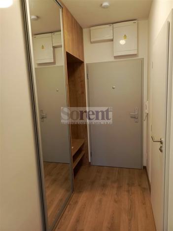 Pronájem bytu 1+kk, České Budějovice - České Budějovice 3, Riegrova, 47 m2