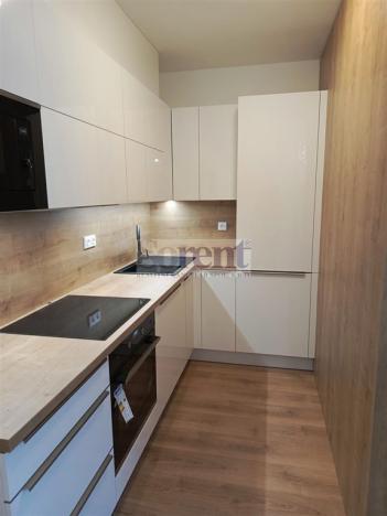 Pronájem bytu 1+kk, České Budějovice - České Budějovice 3, Riegrova, 47 m2