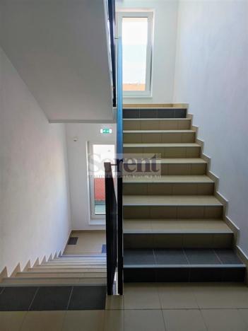 Pronájem bytu 1+kk, České Budějovice - České Budějovice 3, Riegrova, 47 m2