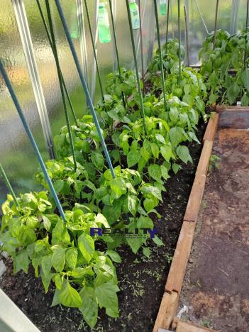 Prodej zahrady, Podbořany, Sídliště Míru, 200 m2