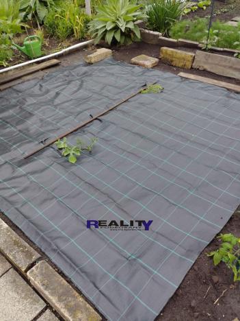 Prodej zahrady, Podbořany, Sídliště Míru, 200 m2