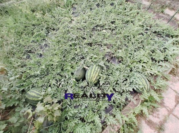 Prodej zahrady, Podbořany, Sídliště Míru, 200 m2