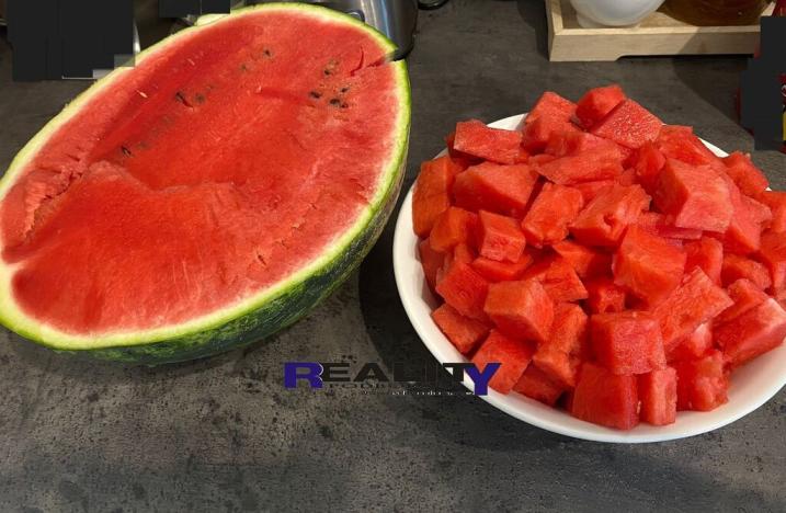 Prodej zahrady, Podbořany, Sídliště Míru, 200 m2