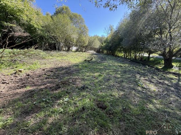 Prodej pozemku pro bydlení, Nechvalice - Ředice, 4965 m2