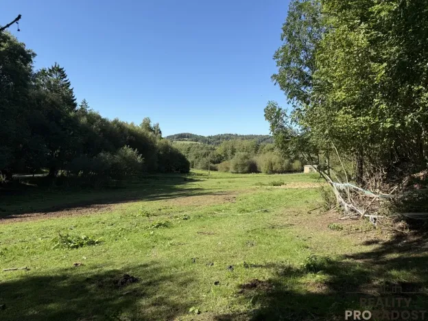 Prodej pozemku pro bydlení, Nechvalice - Ředice, 4965 m2