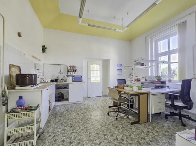 Pronájem ordinace, Duchcov, Tyršova, 295 m2