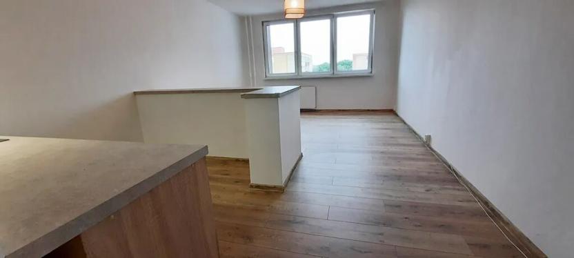 Prodej bytu 1+kk, Orlová, F. S. Tůmy, 33 m2