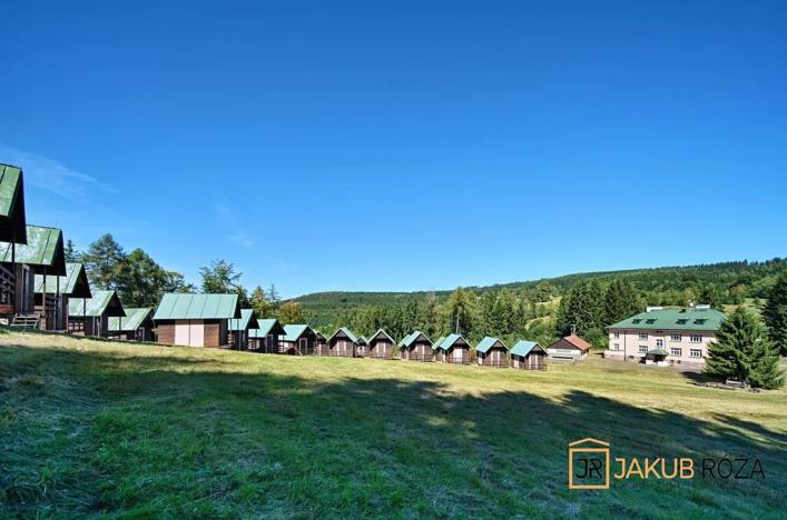 Prodej komerčního pozemku, Heřmánkovice, 40632 m2