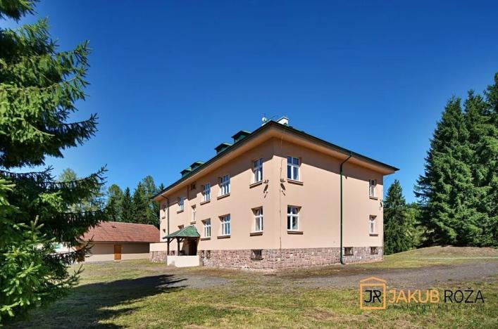 Prodej komerčního pozemku, Heřmánkovice, 40632 m2