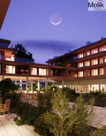 Prodej bytu 1+kk, Golem, 38 m2