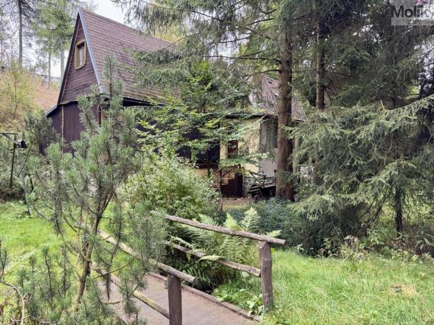 Prodej chaty, Moldava - Nové Město, 65 m2