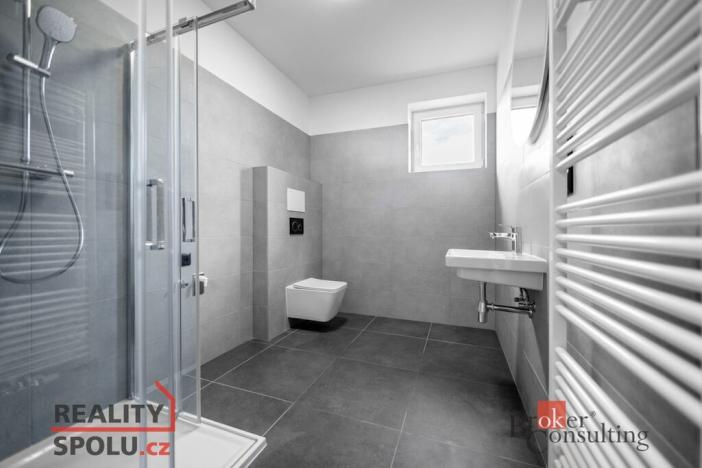 Pronájem bytu 2+kk, Břasy, 47 m2