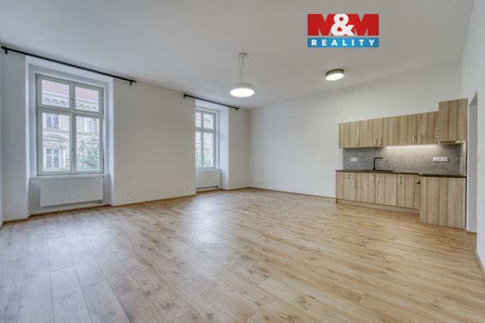 Pronájem bytu 1+kk, Plzeň - Jižní Předměstí, Americká, 59 m2