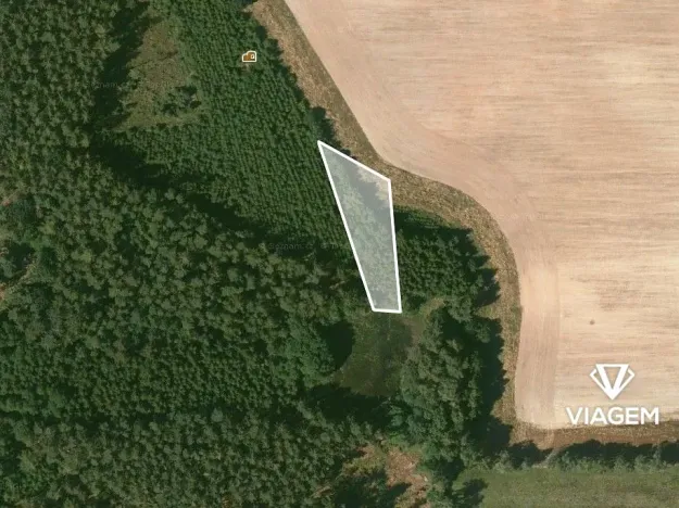 Prodej lesa, Velký Malahov, 1065 m2