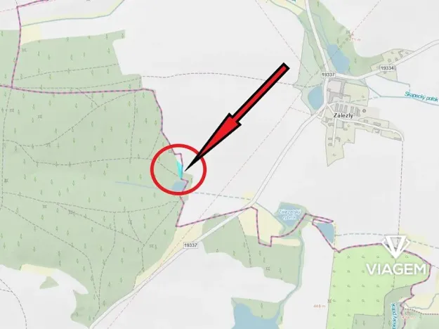 Prodej lesa, Velký Malahov, 1065 m2