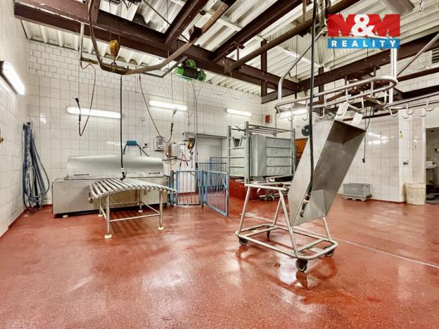 Prodej obchodního prostoru, Světlá Hora - Světlá, 400 m2