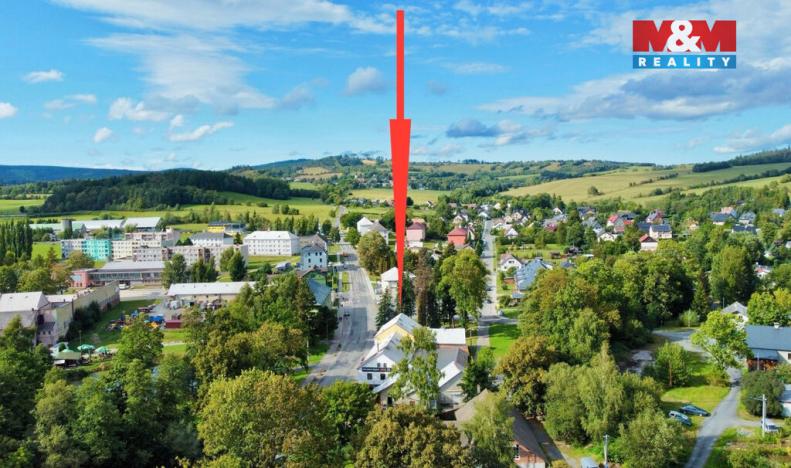 Prodej obchodního prostoru, Světlá Hora - Světlá, 400 m2