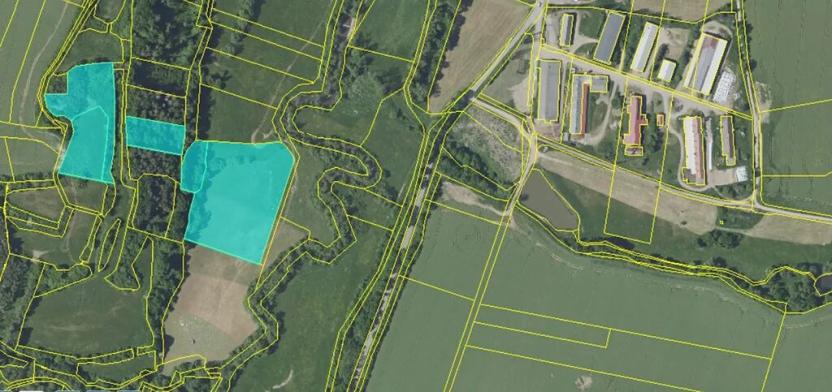 Prodej lesa, Louňovice pod Blaníkem, 8755 m2