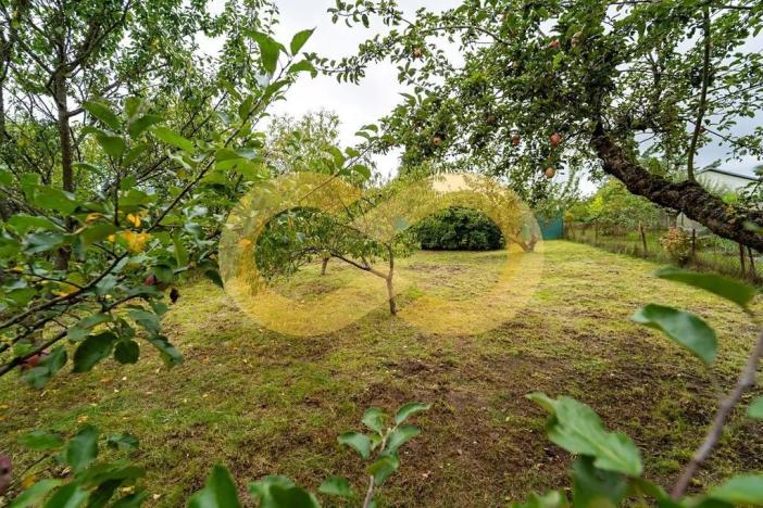 Prodej zahrady, Plzeň, Guldenerova, 731 m2