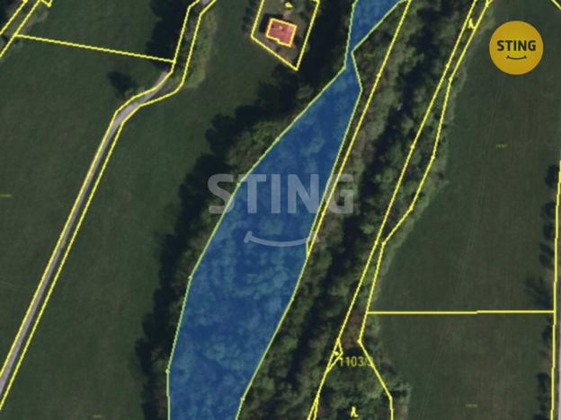 Prodej lesa, Hnojník, 9789 m2