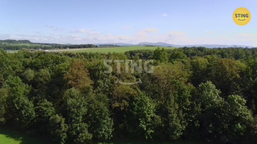 Prodej lesa, Hnojník, 9789 m2