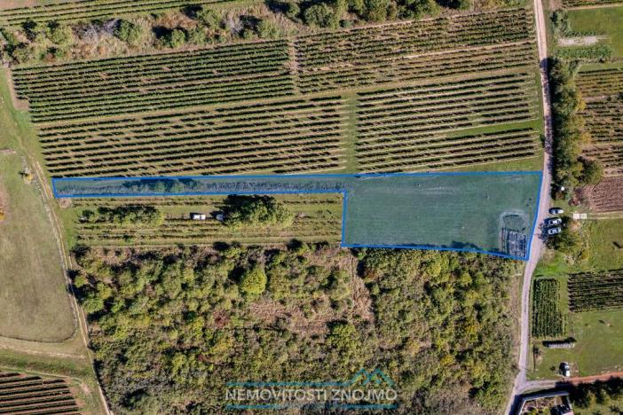 Prodej obchodního prostoru, Šatov, 3031 m2