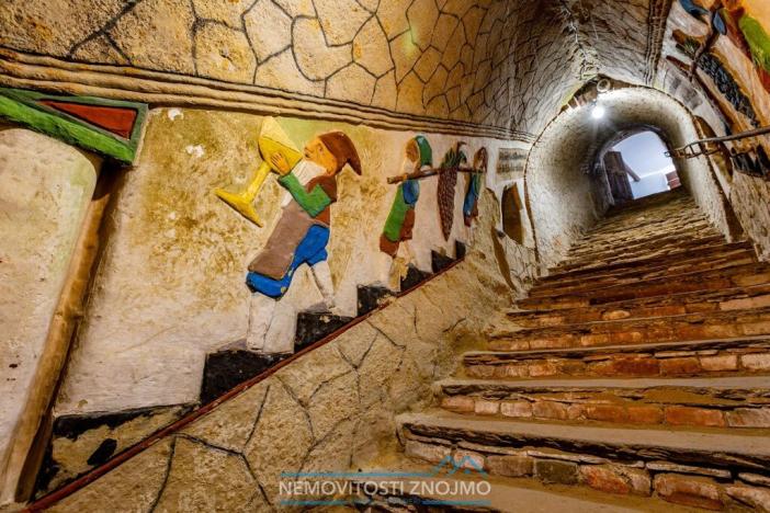 Prodej obchodního prostoru, Šatov, 3031 m2