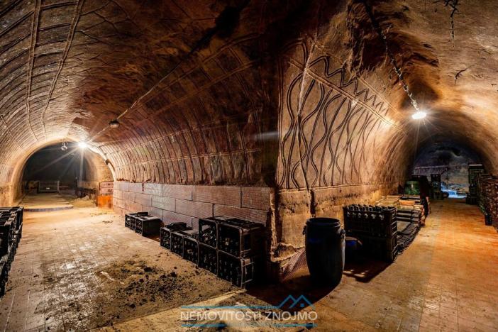 Prodej obchodního prostoru, Šatov, 3031 m2