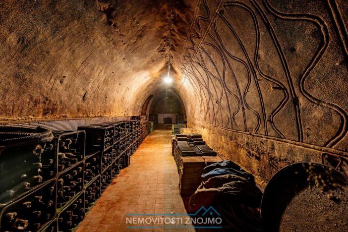 Prodej obchodního prostoru, Šatov, 3031 m2