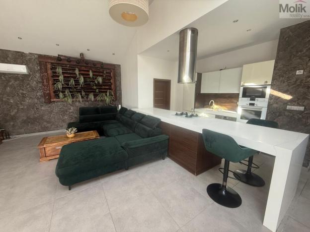 Pronájem rodinného domu, Háj u Duchcova - Domaslavice, Lesní stezka, 768 m2