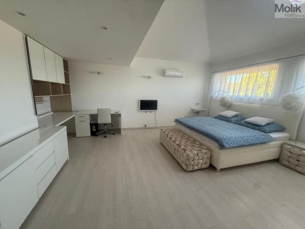 Pronájem rodinného domu, Háj u Duchcova - Domaslavice, Lesní stezka, 768 m2