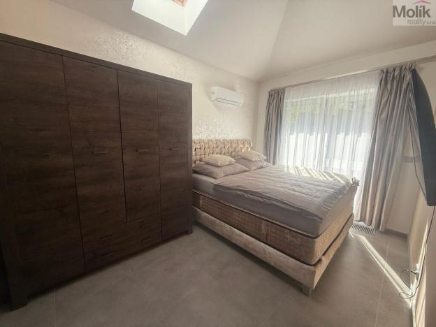 Pronájem rodinného domu, Háj u Duchcova - Domaslavice, Lesní stezka, 768 m2