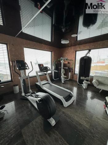 Pronájem rodinného domu, Háj u Duchcova - Domaslavice, Lesní stezka, 768 m2