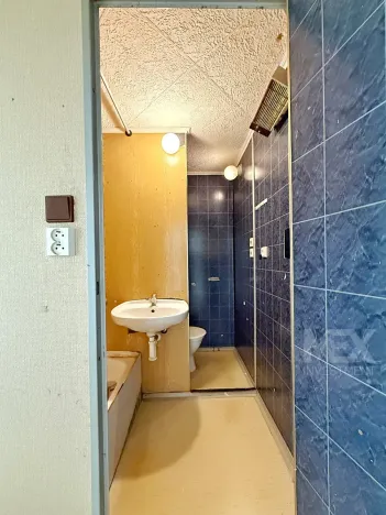 Prodej bytu 1+1, Skořenice, 35 m2