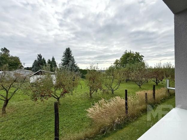 Prodej bytu 1+1, Skořenice, 35 m2