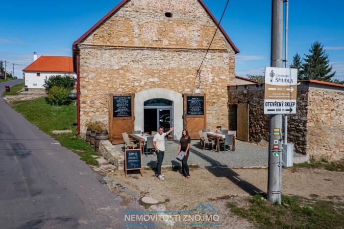 Prodej obchodního prostoru, Znojmo - Popice, 1700 m2