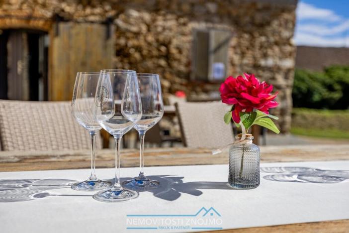 Prodej obchodního prostoru, Znojmo - Popice, 1700 m2