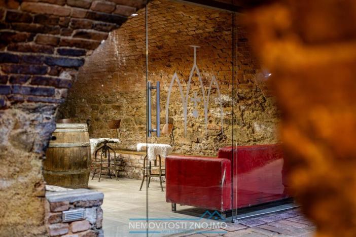 Prodej obchodního prostoru, Znojmo - Popice, 1700 m2