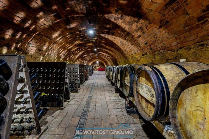 Prodej obchodního prostoru, Znojmo - Popice, 1700 m2