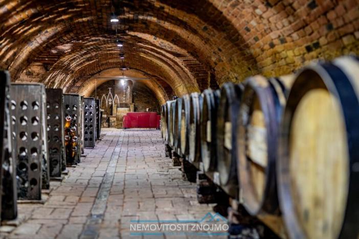 Prodej obchodního prostoru, Znojmo - Popice, 1700 m2